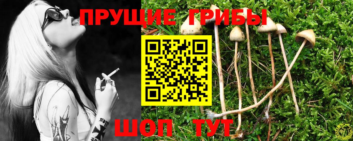Заволжье  Псилоцибиновые грибы Magic Shrooms  Вход с VPN 