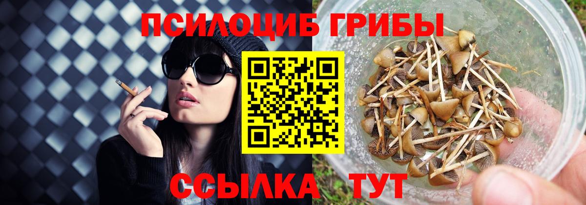 Псилоцибиновые грибы прущие грибы Заволжье